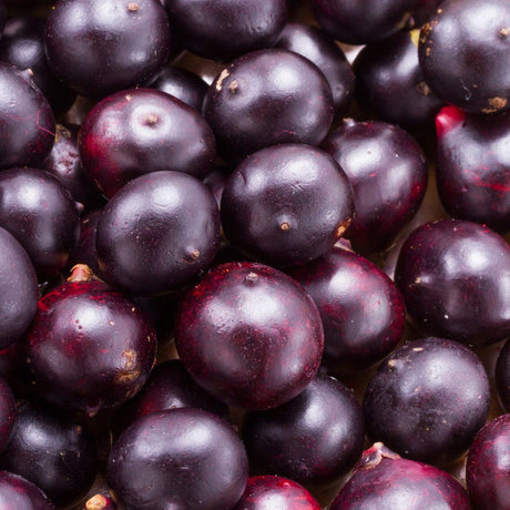 Acai Berry